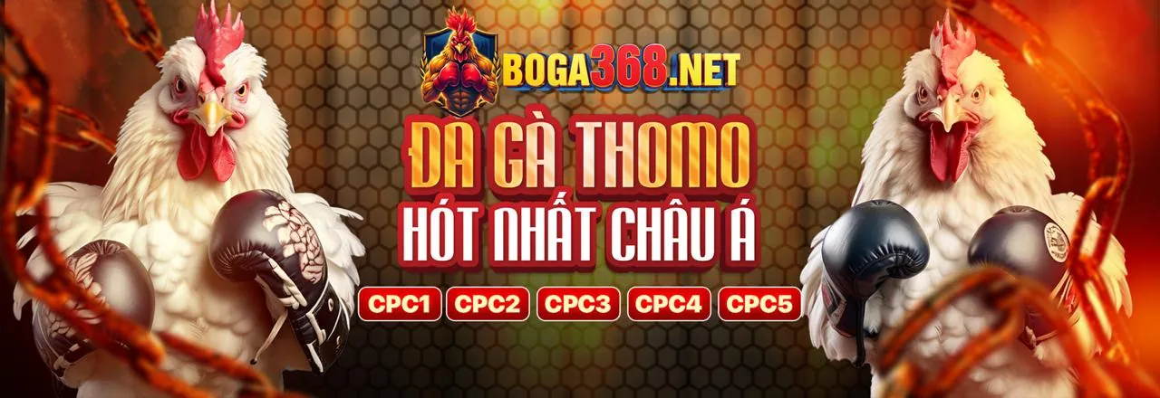 Banner khuyến mãi tải ứng dụng 789p
